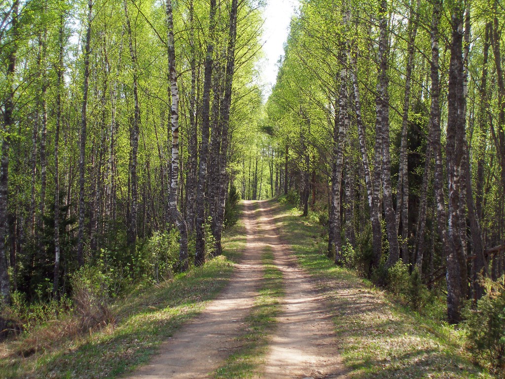 Trail Quelmes