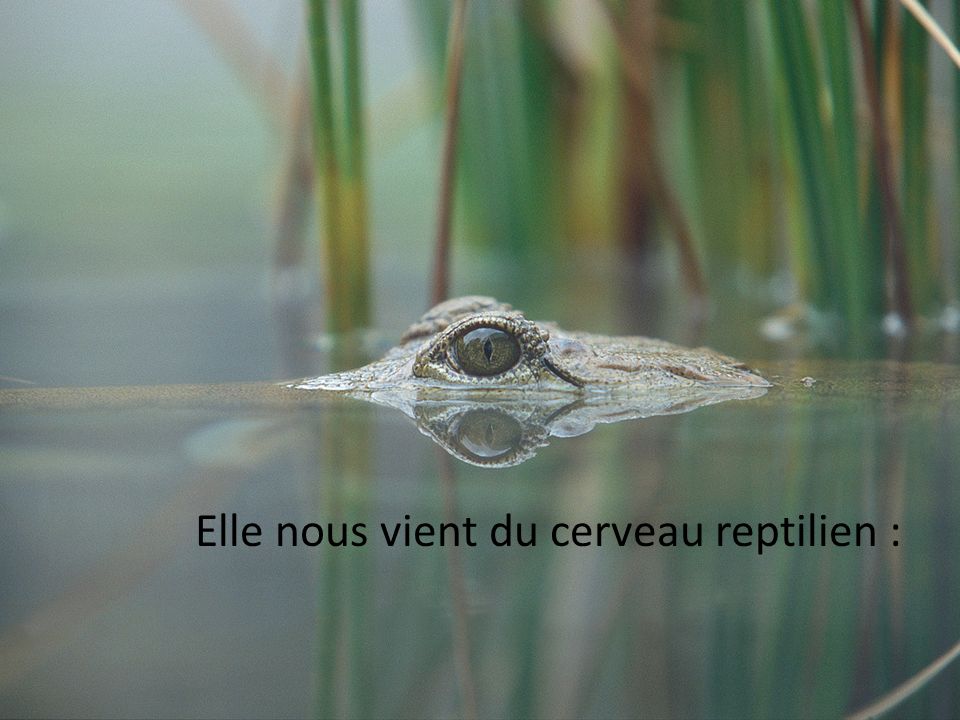 slide_9