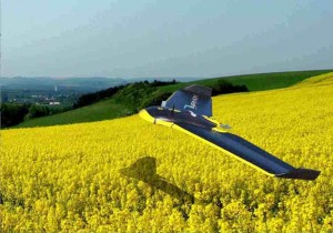 Agridrone-AirInnov-colza-3