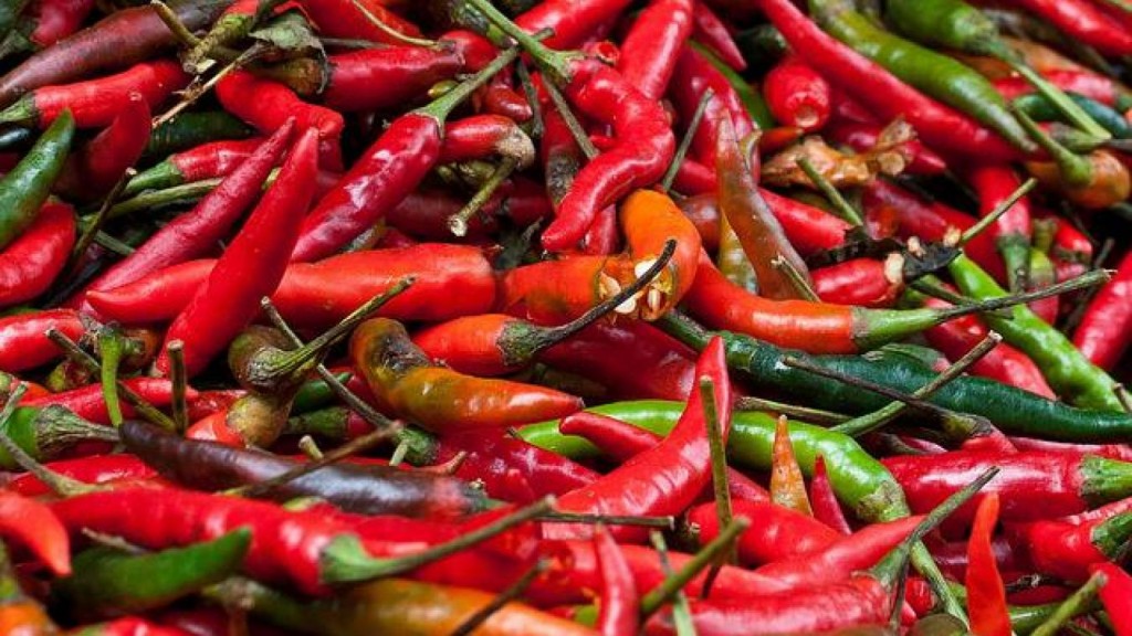 B9713865055Z.1_20171119171413_000+GFRA6F84K.1-0