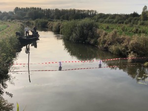 IMG_3971