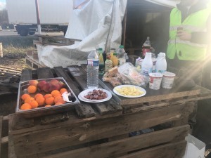 IMG_4599