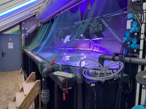 IMG_0232