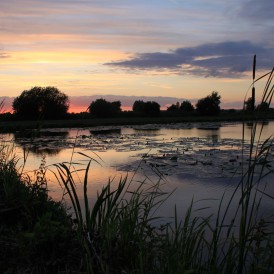 marais-audomarois-©2011-Legris-Office-de-Tourisme-de-la-Région-de-Saint-Omer-20-274x274