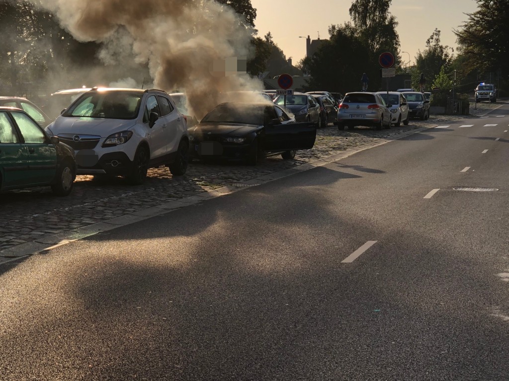 Processed with MOLDIV