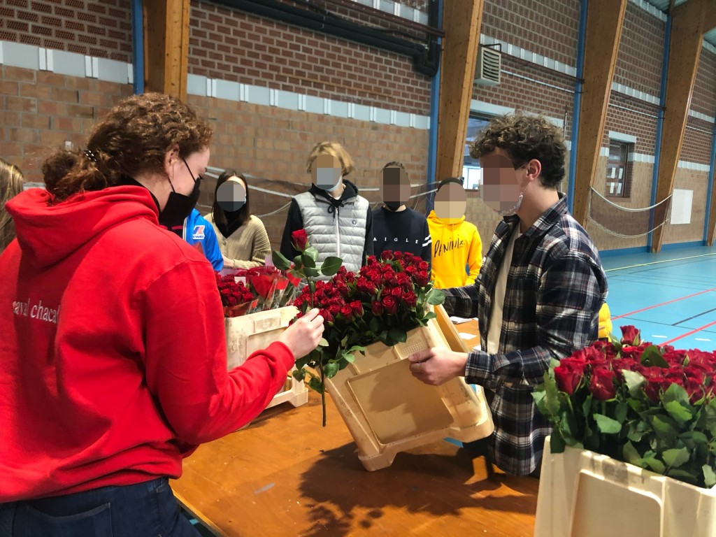 Processed with MOLDIV