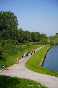 IMG_2462