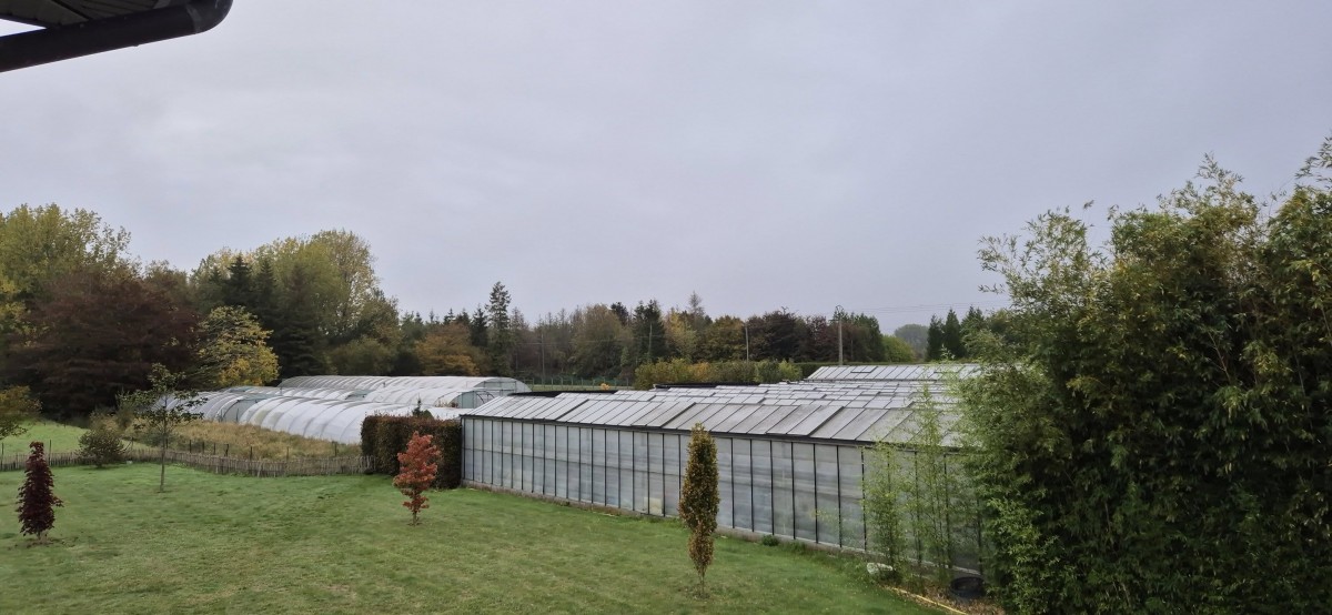 576579570_1408944421235608_4974408448496641514_n